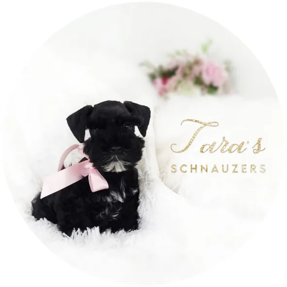 Tara
