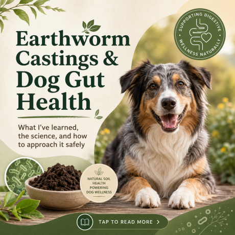 dog gut health