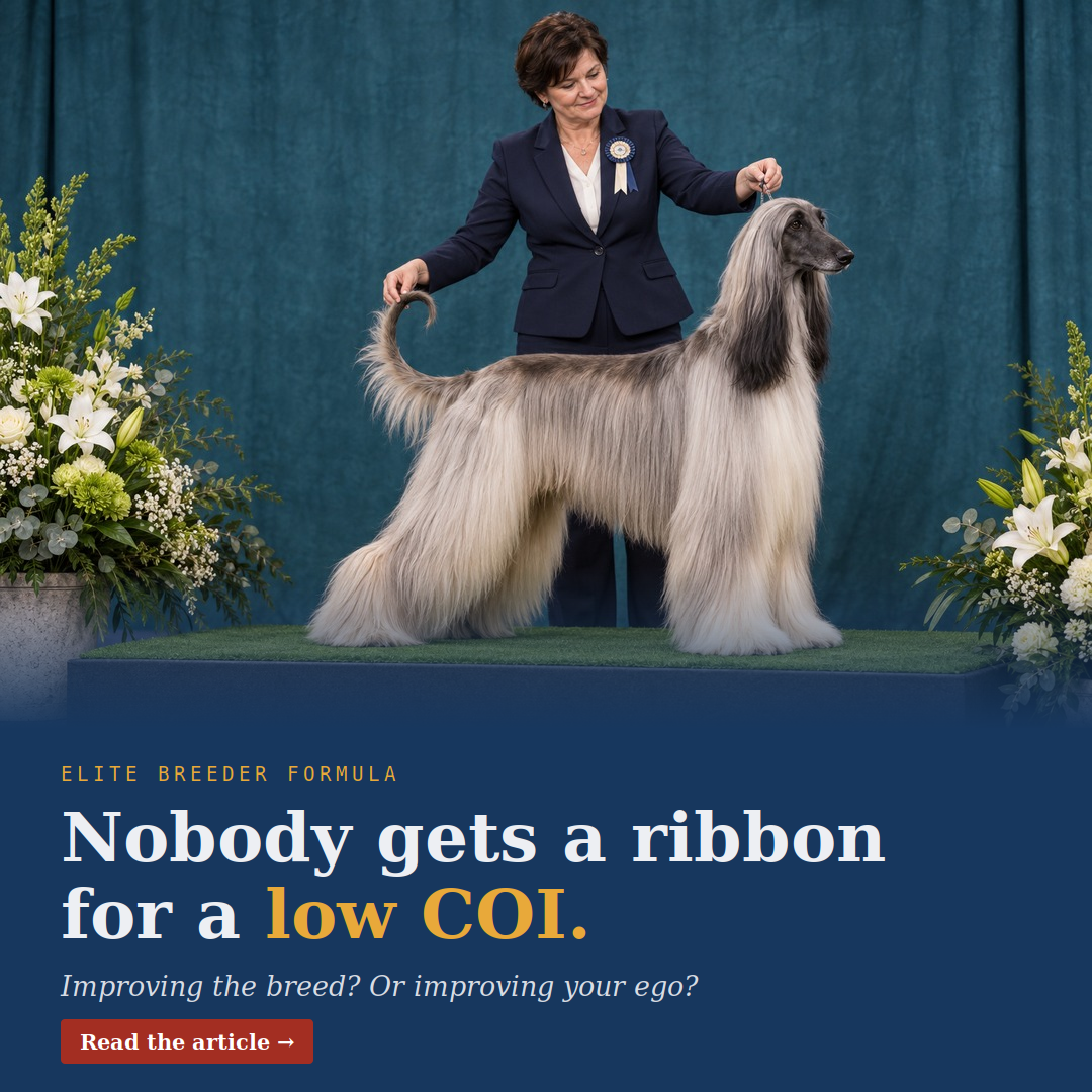 show breeding